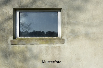 Einfamilienhaus in 6992 Bioggio
