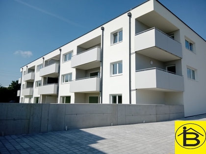 Wohnung in 3382 Loosdorf