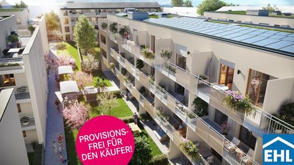 Wohnung in 2000 Stockerau