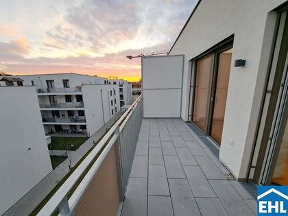 Wohnung in 2000 Stockerau