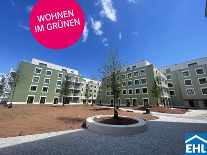 Wohnung in 3451 Pixendorf
