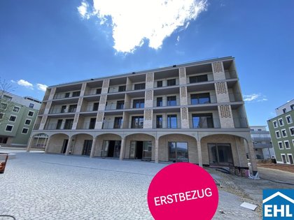 Wohnung in 3451 Pixendorf