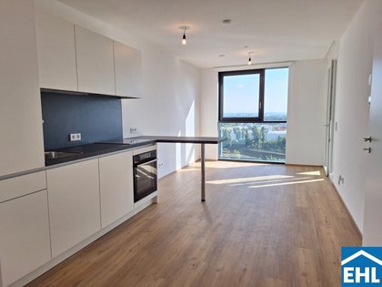 Wohnung in 4020 Linz