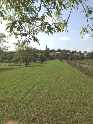 Wohnbauflächen in 9494 Sopron