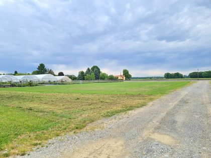 Land- und Forstwirtschaftsflächen in 8472 Straß in Steiermark