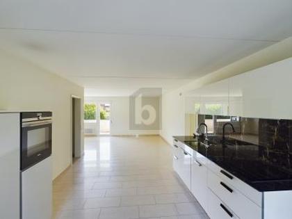Erdgeschosswohnung in 8143 Stallikon