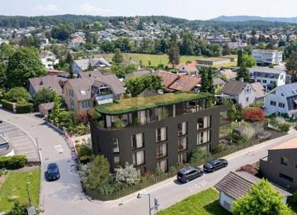 Erdgeschosswohnung in 4106 Therwil