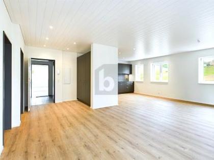 Erdgeschosswohnung in 4943 Öschenbach