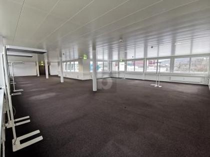 Bürofläche in 4133 Pratteln