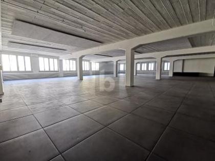 Halle in 4052 Basel