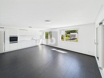 Erdgeschosswohnung in 4143 Dornach