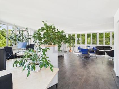 Bürofläche in 8304 Wallisellen