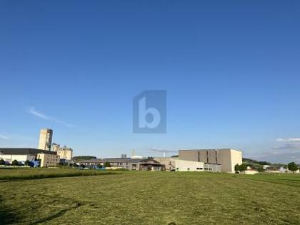 Bürofläche in 6018 Buttisholz