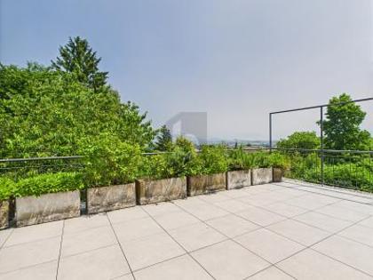 Maisonette in 8132 Hinteregg