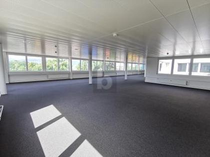 Bürofläche in 4133 Pratteln