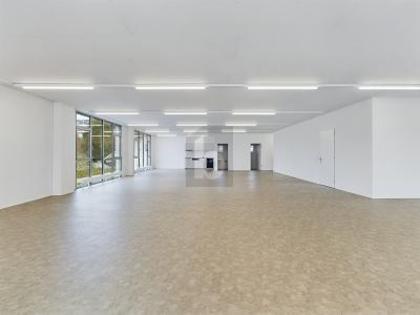 Bürofläche in 3065 Bolligen