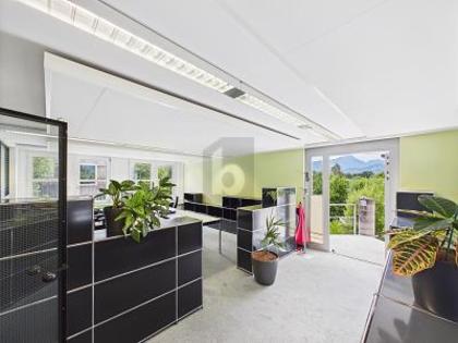 Bürofläche in 6010 Kriens