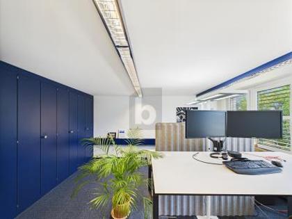Bürofläche in 6010 Kriens