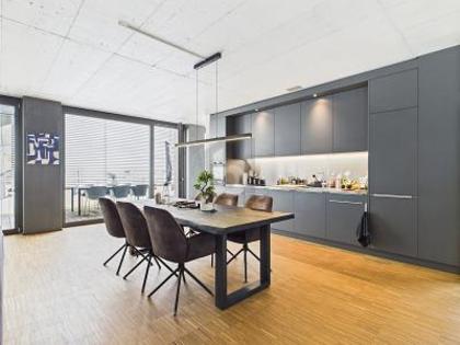 Loft / Studio / Atelier in 6020 Emmenbrücke