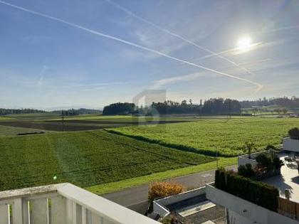 Doppelhaushälfte in 8307 Effretikon