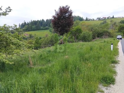 Bauland für Ferienwohnsitz in 9112 Griffen