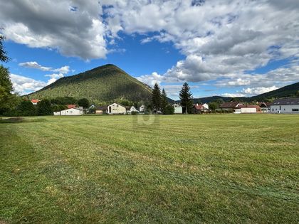 Land- und Forstwirtschaftsflächen in 2734 Puchberg am Schneeberg