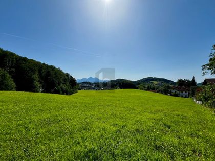 Land- und Forstwirtschaftsflächen in 5020 Salzburg