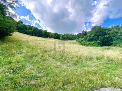 Land- und Forstwirtschaftsflächen in 3400 Klosterneuburg