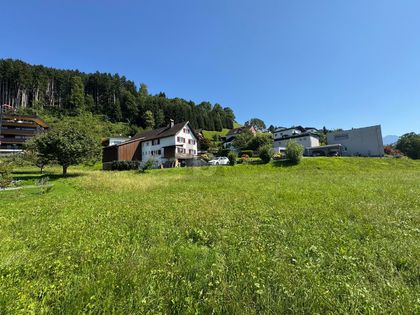 Wohnbauflächen in 6835 Zwischenwasser