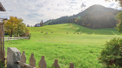 Wohnung in 6365 Kirchberg in Tirol