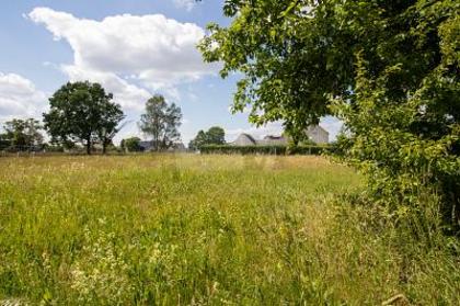 Wohnbauflächen in 06925 Annaburg