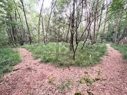 Bauland für Ferienwohnsitz in 25421 Pinneberg