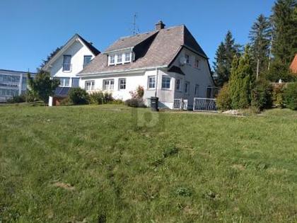 Land- und Forstwirtschaftsflächen in 79871 Eisenbach (Hochschwarzwald)