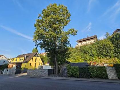 Gemischtes Bauland in 71711 Steinheim an der Murr