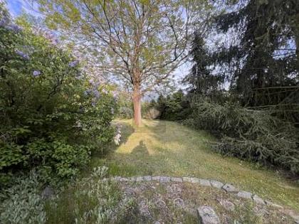 Ferienhaus in 04889 Schildau