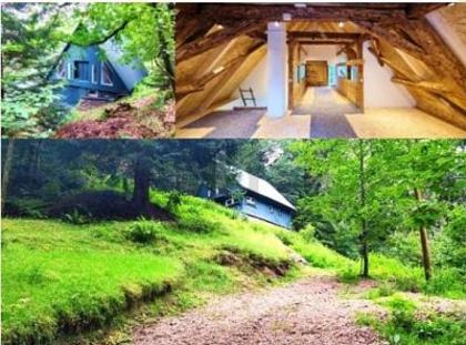 Chalet in 78730 Lauterbach