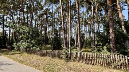 Wohnbauflächen in 29475 Gorleben