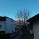 2038907_60644ef3f3afb.jpg
