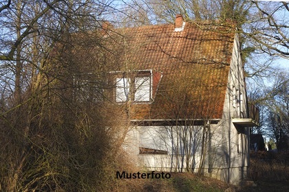 Einfamilienhaus in 32689 Kalletal