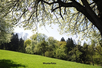 Land- und Forstwirtschaftsflächen in 72119 Ammerbuch