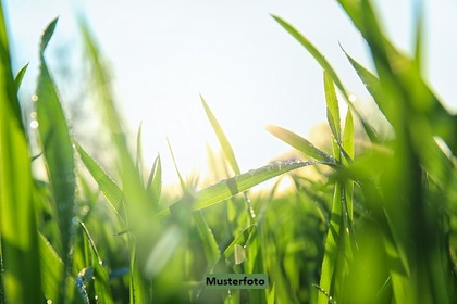 Land- und Forstwirtschaftsflächen in 72184 Eutingen im Gäu