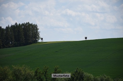 Land- und Forstwirtschaftsflächen in 83088 Kiefersfelden