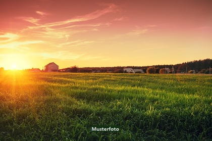 Land- und Forstwirtschaftsflächen in 97508 Untereuerheim