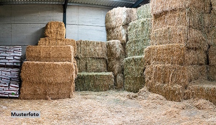 Land- und Forstwirtschaftsflächen in 36466 Dermbach