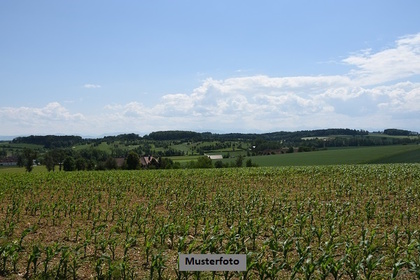 Land- und Forstwirtschaftsflächen in 54497 Morbach