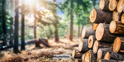 Land- und Forstwirtschaftsflächen in 54550 Daun