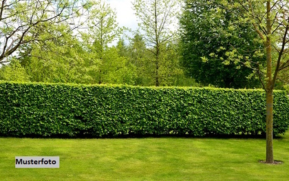 Bauland für Ferienwohnsitz in 67685 Weilerbach