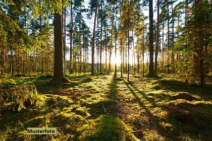Land- und Forstwirtschaftsflächen in 42477 Radevormwald