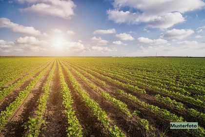 Land- und Forstwirtschaftsflächen in 99713 Großbrüchter