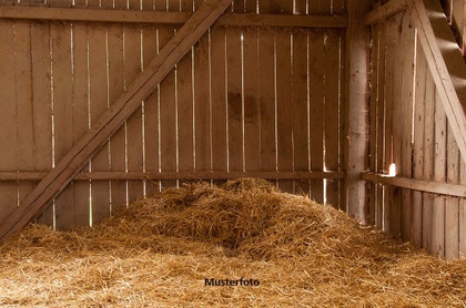 Landwirtschaftlicher Betrieb in 82433 Bad Kohlgrub